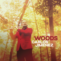 Woods by Carlos Jimenez
