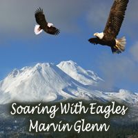 Soaring With Eagles by Marvin Glenn
