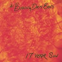 17 Year Sun by The Burning Dirty Band