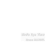 Bird's Eye View by Bruce Mandel