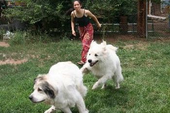 Sandra playing with her dogs (Raffie and Sera)
