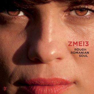 Cover for Zmei3
