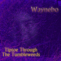 Tiptoe Through The Tumbleweeds by Waynebo