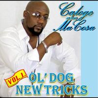 Ol' Dog New Tricks Album  by Caloge The Windshifter