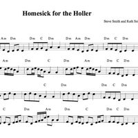 "Homesick for the Holler"