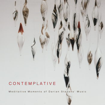Contemplative︱Darian Stavans
