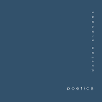 Poética by Darian Stavans