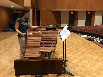 Larissa Venzie plays the Artist DeMorrow marimba!
