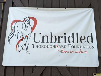Unbridled 1 of 7
