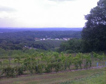 Stage views - wow how they vary (3 of 4) Winery - I absolutely love Wine - Whites and Blushes thank you. (know just enough to be dangerous)  Beautiful Hudson Valley
