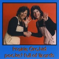 Pocket Full of Lizards by Prairie Orchid