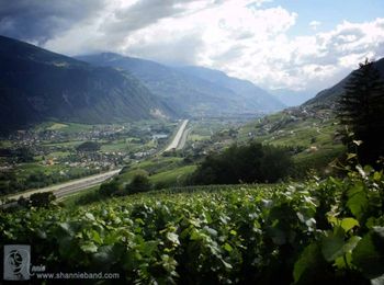 The Valais in Sion, Switzerland... a beautiful place.
