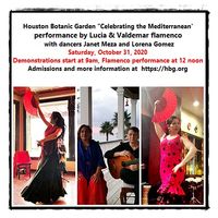 Lucia and Valdemar - Flamenco: Celebrating the Mediterranean