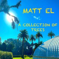 A Collection of Trees by Official site of THE WELCOME MATT and MATT LANGLOIS 