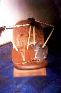 The Baganda & Basoga lyres of Uganda - made of lizard skin and laced with to a non-sonorous skin in the same manner as the harp and drums.  The strings are tied into a piece of wood and inserted into
