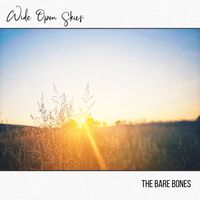 Wide Open Skies by The Bare Bones