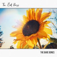 The Best Days by The Bare Bones
