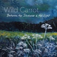 Between the Darkness & the Light by Wild Carrot