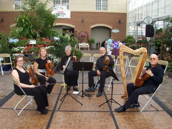 WCSO String Quartet at Delhi Flower and Garden Center, June 2010
