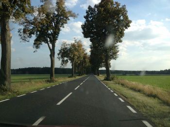 Tree-lined Polish roads, September 14, 2012.
