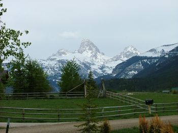 Tetons from my porch

