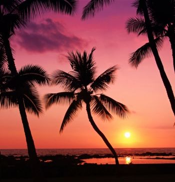SUNSET ON A TROPICAL ISLE
