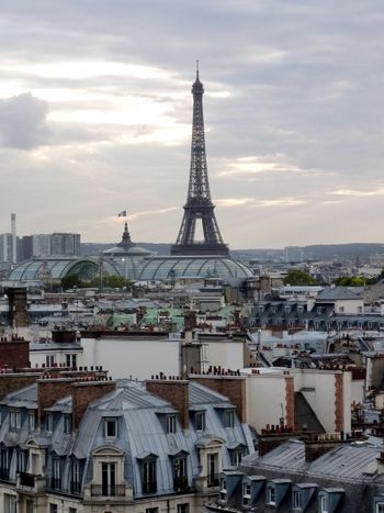 PARIS rooftops
