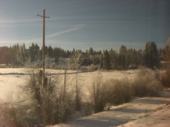 On the train passing through Oregon on the way to Whistler BC
