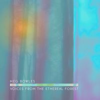 Voices from the Ethereal Forest: CD