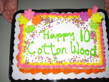 10 Anniversary cake
