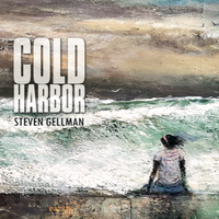 Cold Harbor (2021) by Steven Gellman