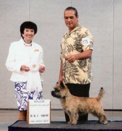 Hawaiian Kennel Club, August 2009 Cash wins a major and a group 4 under judge Barbara Alderman.
