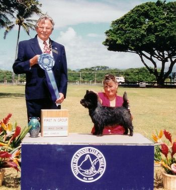 Ch Mcpang's MR Mackie Boy at the Maui dog show, winning Group 1, shown by Lisa. Mackie our first show dog, had many group placements in tough competition. A group win is always special!
