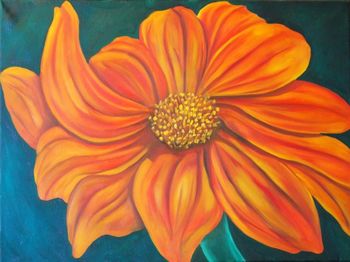 Mexican Sunflower
