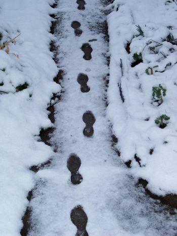 footprints

