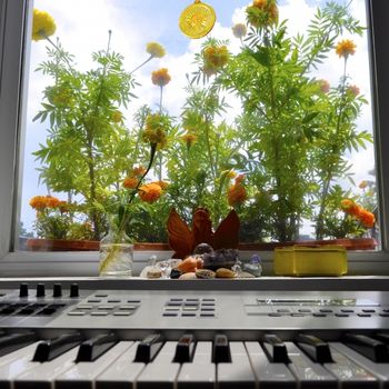 "Keyboard Garden" © photo by SaraCarlsonMusicDanceArt
