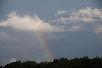 Rainbow 2011
