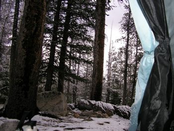 View_From_My_tent

