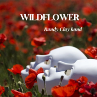 Wildflower by Randy Clay Band