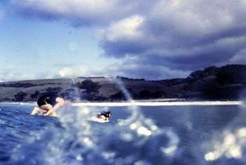 one of those cooler Autumn days in '65... Remember this...Kneeling and paddling flat out...probably all 3 of us will catch the wave.....ohhhh who cares...more the merrier ....well...was "kind of" that attitude then....wasn't it!!........Waipu Cove ..and a grunty little swell!!

