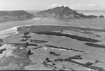 Marsden Point area 1962..still looking pretty isolated... one of my relations owned a few hundred acres on the top right of the Marsden area and i would come and stay and play on the farm in the mid 50s...they sold it shortly after...bummer!!
