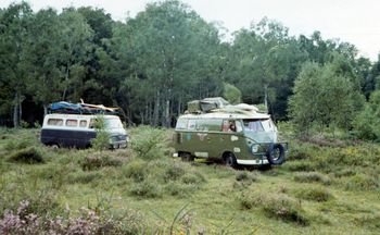 trying out this Safari lifestyle......New Forest, Devon
