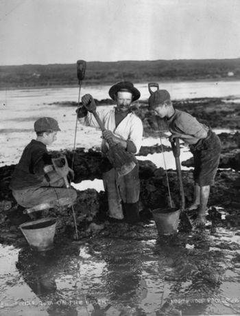 digging for Kauri gum on Ahipara beach ..1910
