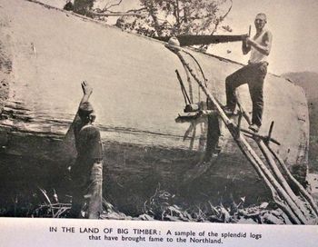 when your sawing a peice of timber next ...stop complaining..Ha!! on the way to Oakura .....1940
