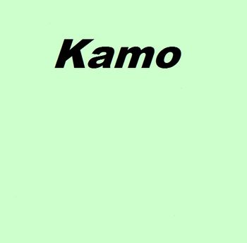 Kamo..now part of Whangarei (since 1965)
