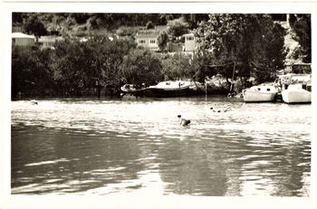 1967 and the Tatahi club was still pumpin' The 1967 Tatahi paddle board race down the Hatea river...not sure who 's in this photo....but Tim Frazerhurst won it..with Colin Hannah giving him a run for his money!!!!

