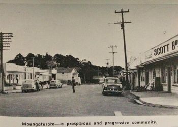 Maungatoroto 1965...sometimes we went this way over to Baylys...

