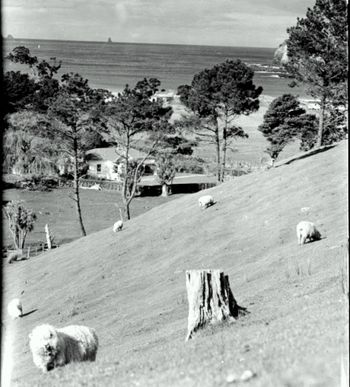 Matapouri ..1945
