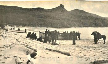 1902 Hokianga Harbour...and the lifeboats off the sunken ship Ventnor.. 515 people went to the bottom.........fortunately 499 were corpses going in coffins back to China...ha!!
