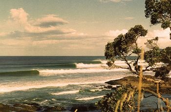 and dont forget how good Waipu can get sometimes too!!... This would be a rare day, but i have seen and surfed it like this several times over the years.....you may have as well.........can break just like a point break!!.....summer of '65
